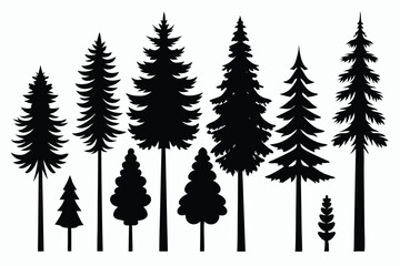 Obraz premium Silhouettes of evergreen trees in a forest&nbsp;setting