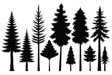 Obraz premium Silhouettes of evergreen trees in a forest&nbsp;setting