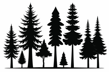 Obraz premium Silhouettes of evergreen trees in a forest&nbsp;setting