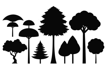 Fototapeta premium Silhouettes of evergreen trees in a forest setting