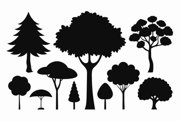 Fototapeta premium Silhouettes of evergreen trees in a forest setting