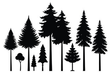 Obraz premium Silhouettes of evergreen trees in a forest&nbsp;setting
