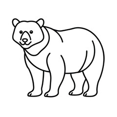 bear vector illustration
