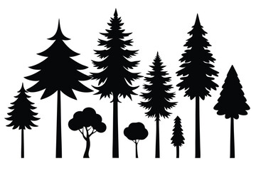 Silhouettes of evergreen trees in a forest setting