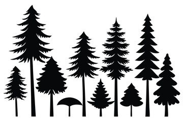 Obraz premium Silhouettes of evergreen trees in a forest&nbsp;setting