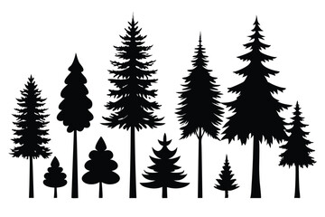 Obraz premium Silhouettes of evergreen trees in a forest&nbsp;setting