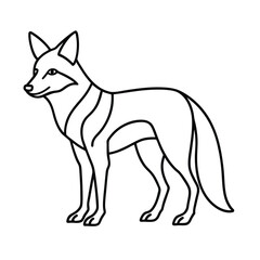 vector illustration of coyote animal