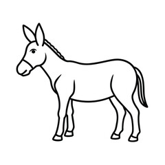 donkey vector illustration