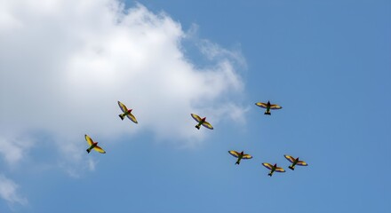 Fototapeta premium Birds, Flying, Sky, Colorful Birds Flying in a Blue Sky with Clouds