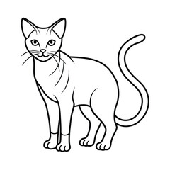 house cat vector illustration