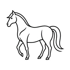 horse vector illustration