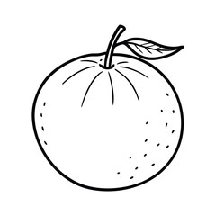 mandarin orange fruit vector illustration