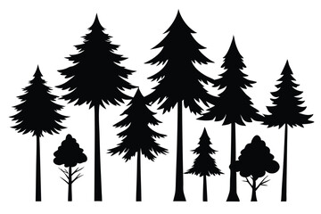 Fototapeta premium Silhouettes of evergreen trees in a forest&nbsp;setting