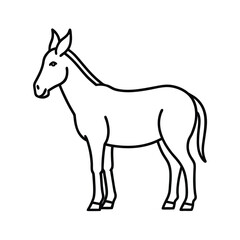 mule animal vector illustration