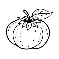 muntries fruit vector illustration