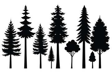 Obraz premium Silhouettes of evergreen trees in a forest&nbsp;setting
