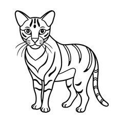 ocelot animal vector illustration