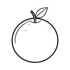 orange fruit vector illustration