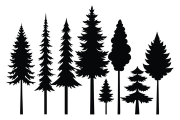 Obraz premium Silhouettes of evergreen trees in a forest&nbsp;setting