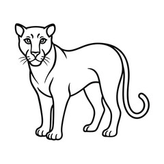 panther animal vector illustration