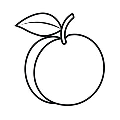 peach fruit vector illustration