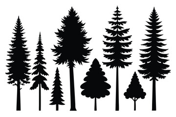 Obraz premium Silhouettes of evergreen trees in a forest&nbsp;setting