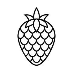  pineberry fruit vector illustration