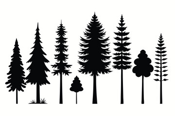 Obraz premium Silhouettes of evergreen trees in a forest&nbsp;setting