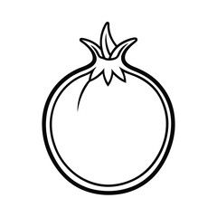 pomegranate fruit vector illustration