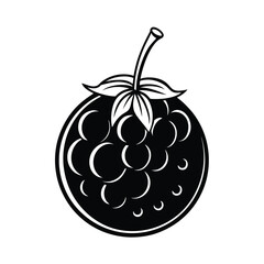 Ribery fruit vector illustration