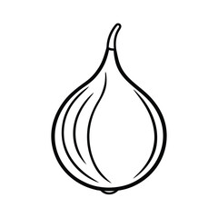 salak fruit vector illustration