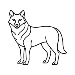 wolf animal vector illustration