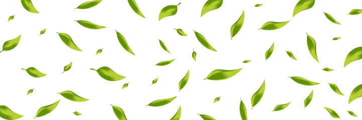 Green leaves flying on a long white banner. Falling leaves. Wavy foliage ornament. Vegan, eco, organic design element. Cosmetic pattern border. Fresh tea background. Beauty products. Vector