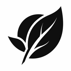 Leaf vector isolated on white background