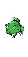 green frog on white background