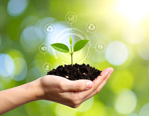A hand holds a small plant sprouting from rich soil, with eco-icons like recycling and energy symbols floating above. The blurred green-yellow background adds a hopeful, environmental tone.