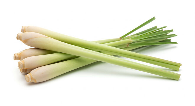 Fresh Lemongrass Stalks on a White Background

