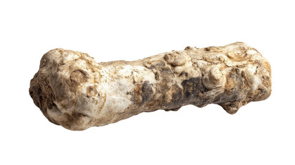 Whole orange carrot with leafy green top attached, fresh and clean, Transparent background, PNG file