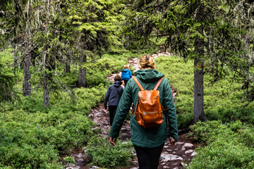 A mother walks with her two young sons along a rocky forest path, surrounded by lush blueberry bushes and spruce trees during a summer hike in Idre Dalarna Sweden
