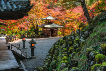 The marvelous Otagi Nenbutsu-ji Temple during fall season in Kyoto, Ukyo ward, Japan.
