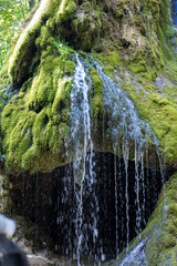Small waterfall in the summer forest