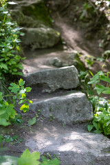 Old stone stairs in park