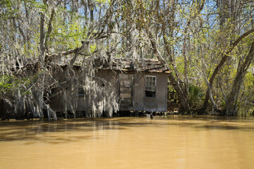 A decaying hut leans over calm swamp waters in Louisiana. Reflections ripple gently below, framed...