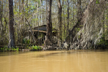 A decaying hut leans over calm swamp waters in Louisiana. Reflections ripple gently below, framed...