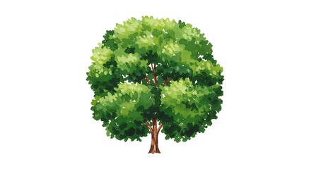 Vibrant watercolor illustration of a single tree with green foliage