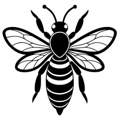 vector illustration of a bee