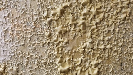 paint remover. Blistered paint. The master removes the old coating on the doors. The atmosphere of...
