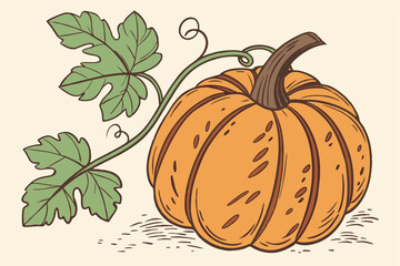 Fresh Garden Pumpkin with Leaf