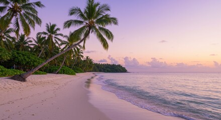 Fototapeta premium Pink sunset beach palm trees