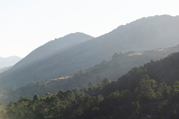mountain landscape with fog